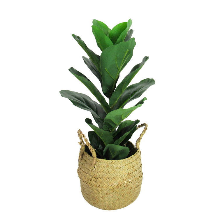 Primrue 20" Artificial Fiddle Leaf Fig Tree in Basket Wayfair